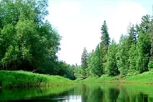 2021-07-25-14-13-28.webp