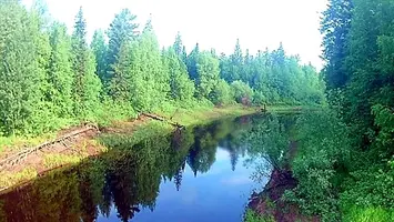 2021-07-25-14-07-26 (2).webp