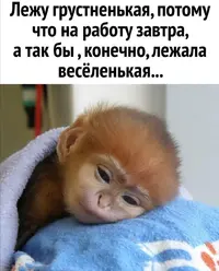 Screenshot_20210725_214450.webp