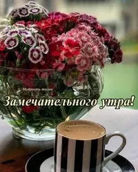 IMG-20210726-WA0005.webp