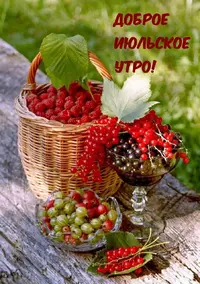 IMG-20210724-WA0004.webp