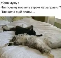 232e3867577ff7ebc33a451de76864fe.webp