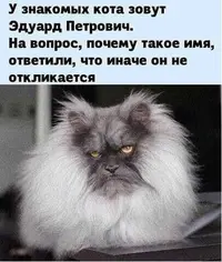 757fefe9986296e620aab9346890d5ee.webp