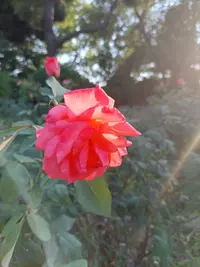 20210710_180549.webp