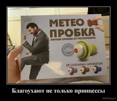 b446b96852a66cc605dbe15bb13395cb.webp