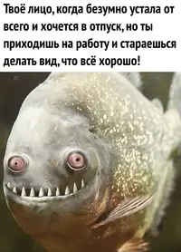 59f651e1c1b10641006345aa894ee334.webp