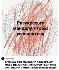 a5cfd69d7aa66fa590581dd4c9535779.webp