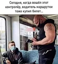 7037dc90e6487e9ca16232d93fbb386f.webp