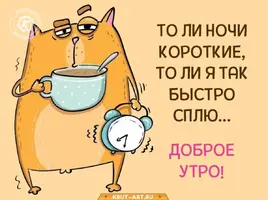 2021-07-28-06-32-34.webp