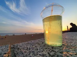 20210727_205531.webp