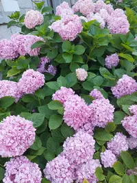 20210710_173743.webp
