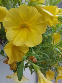 20210704_191153.webp