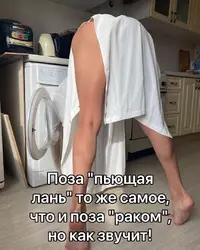 Xlvn5bvw1bw.webp
