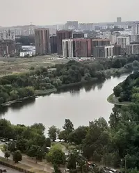 Screenshot_20210728-133405_Gallery.webp