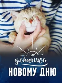 IMG-6d633c3dcc25048df4bc864d2fdb2db0-V.webp
