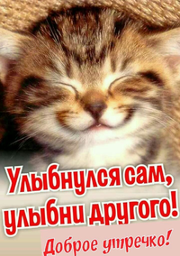 Открытки-с-животными-доброе-утро012.webp