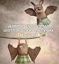 eda6b84a0b0bda59a0915c8bb8d05e53.webp