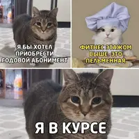 40d83b781d4ecb2ae41cb2c4d2e9b323.webp