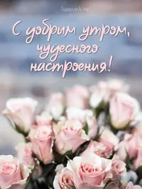6767bcaaf5dd49f22fcf917d81de681c.webp