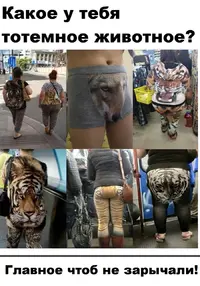 cHIcZj9jLTA.webp