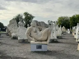 Screenshot_20210730-171146_Gallery.webp