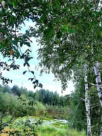 20210730_191327.webp