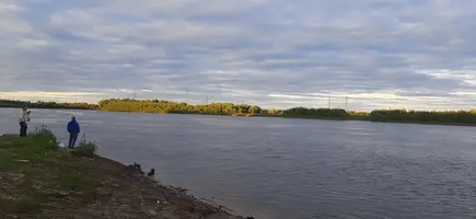 20210730_193737.webp