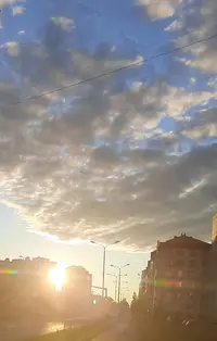 20210730_194206.webp