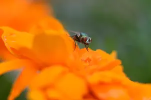 _DSC0490.webp