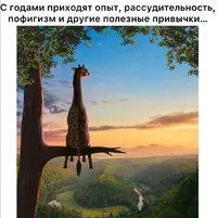 Screenshot_20210730_221045.webp