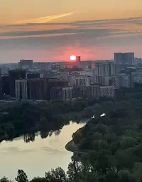 Screenshot_20210731-050300_Gallery.webp