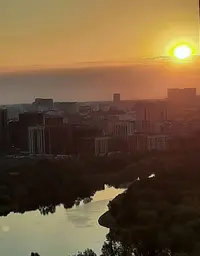 Screenshot_20210731-050316_Gallery.webp