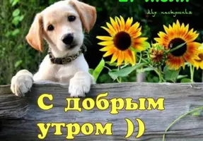 IMG-20210731-WA0005.webp