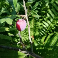 IMG_20210731_091509.webp