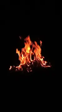 IMG_20210731_213510_004.webp