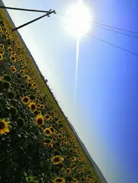 Screenshot_20210801_010634.webp