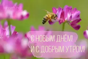c6f30be9ad0dd81ce315137a878f954d.webp