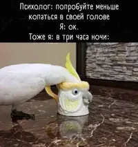 lHIPRlrtC_4.webp