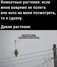 UVOIYXhfXSg.webp