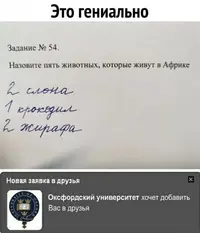 70f0ad5a9ab3f2cc9a1332b5532b1246.webp