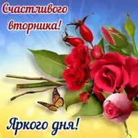 IMG-20210720-WA0005.webp