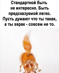 Screenshot_20210802_222658.webp