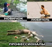 d2a6a61a150a4ed000fac31d7dc9f756.webp