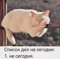 Screenshot_20210725_215032.webp