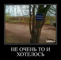 a1b12d73ad6f1592792a44524183618f.webp