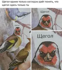 2d89d277895ba88b993ba09f8bf44122.webp