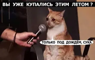 1566216385183961848.webp
