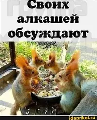 f4cbab4bdbe722f46cc3422db89f5b9a.webp