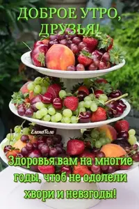 IMG-20210804-WA0005.webp