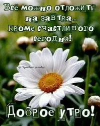 IMG_20210805_084228_279.webp